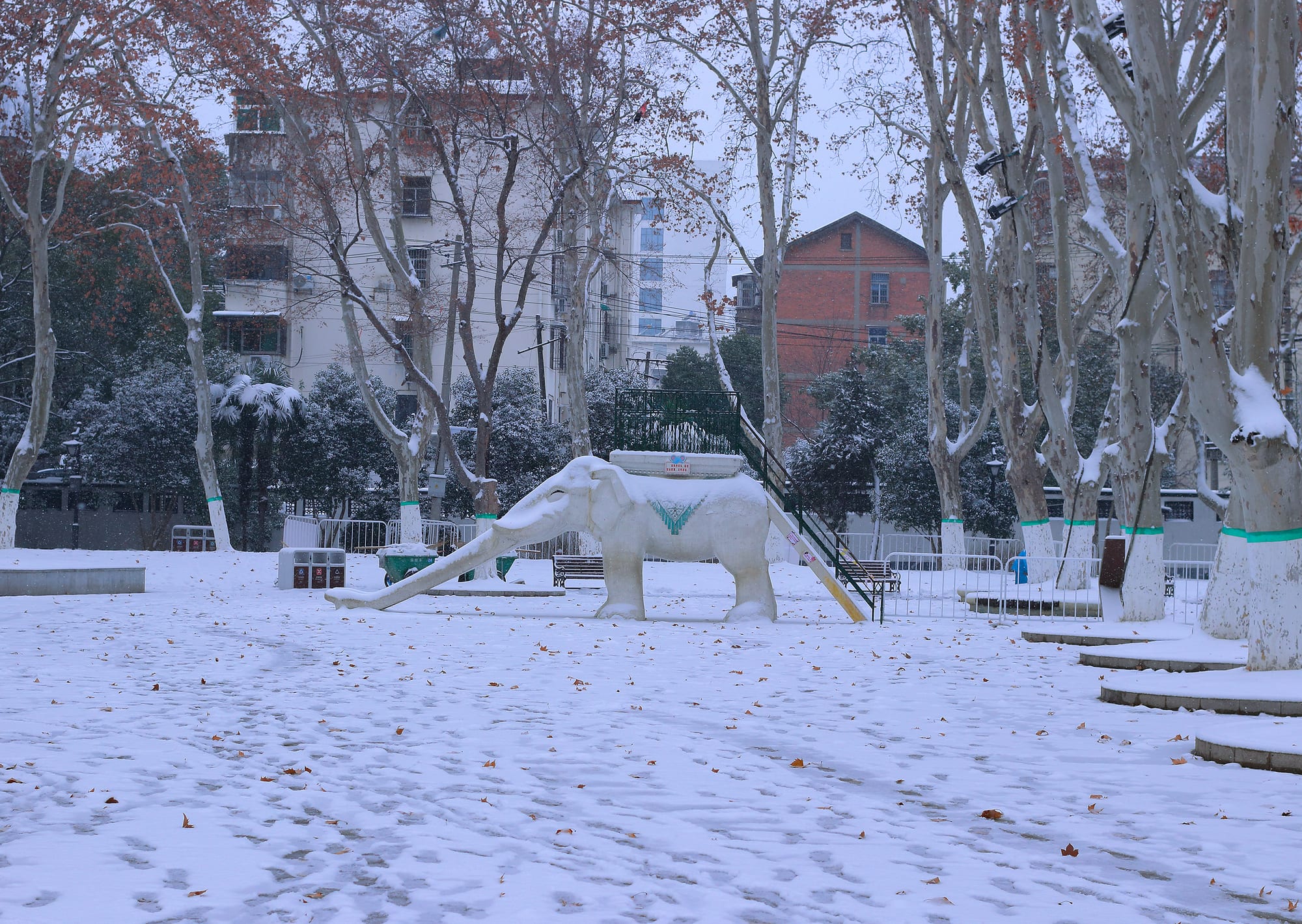 1月 初雪合肥