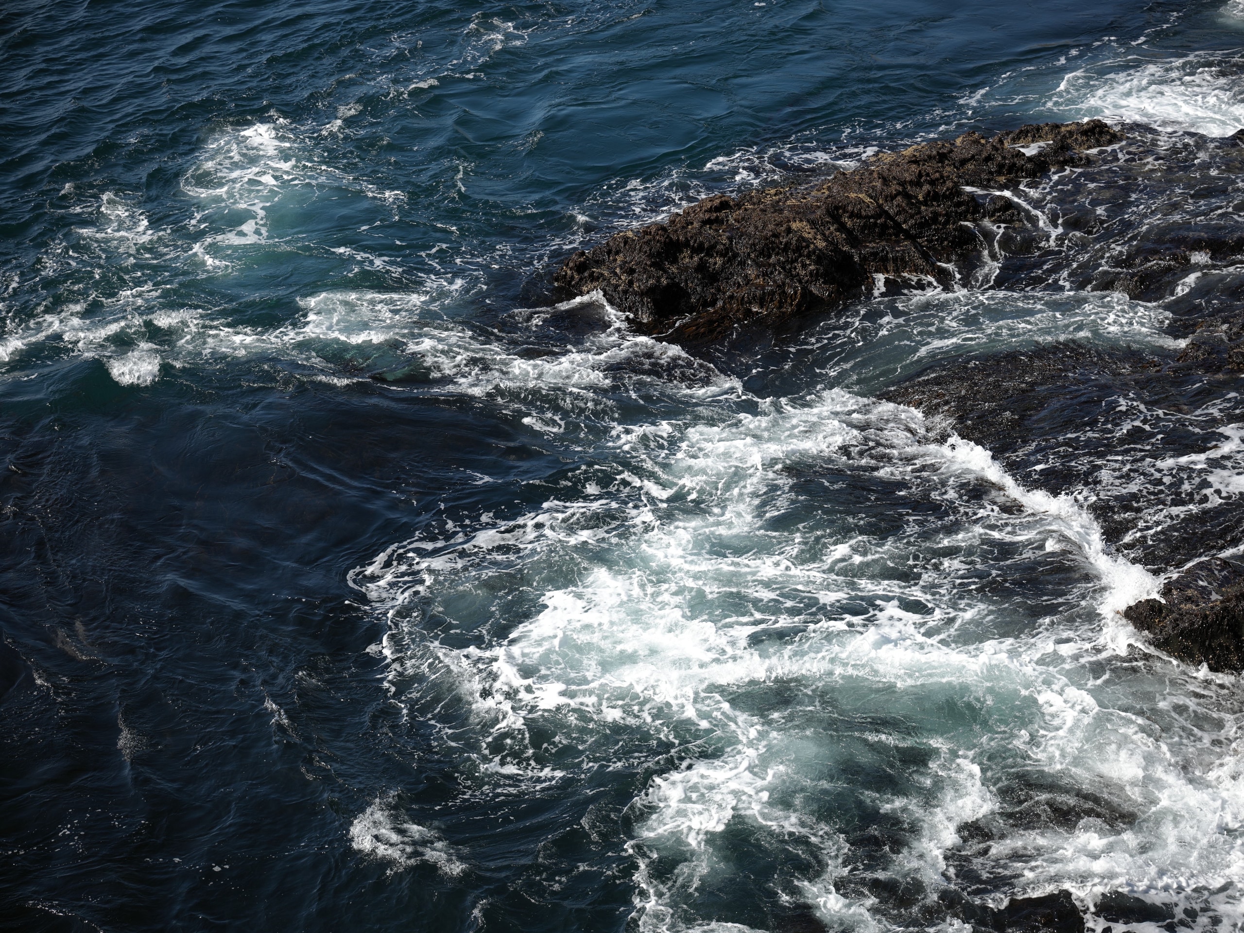海浪 — Qin