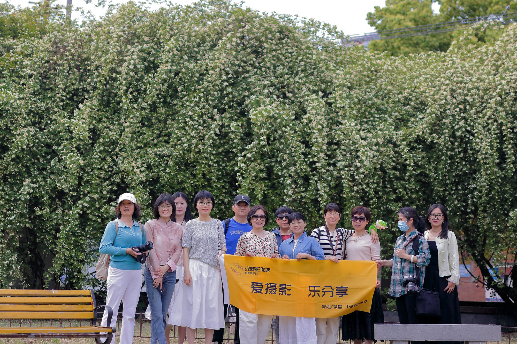 合柴木香花 2025